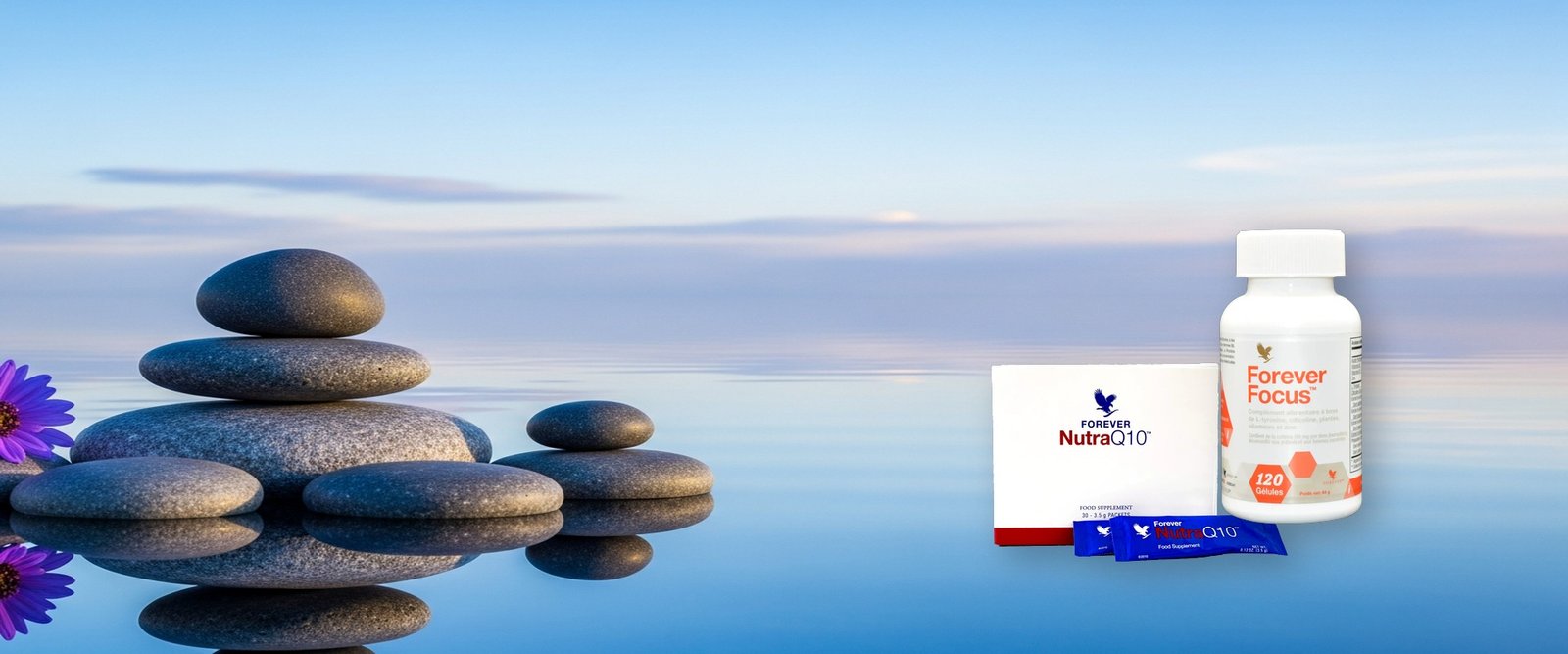 Fatigue & Stress Oxydatif