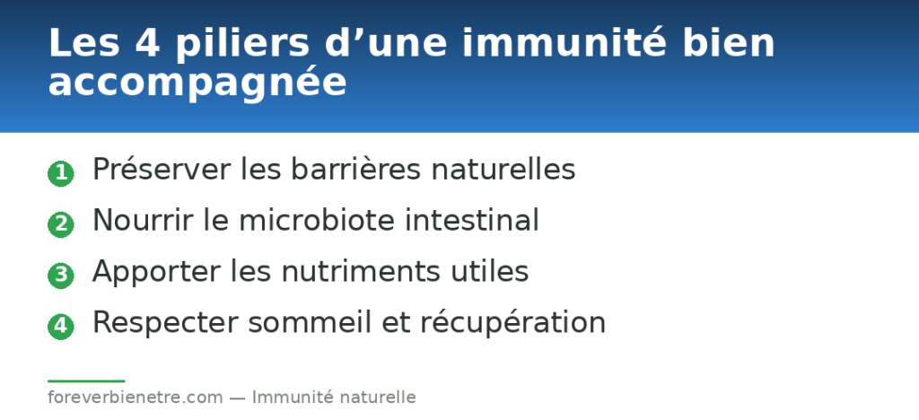 Les 4 piliers d’une immunité bien accompagnée