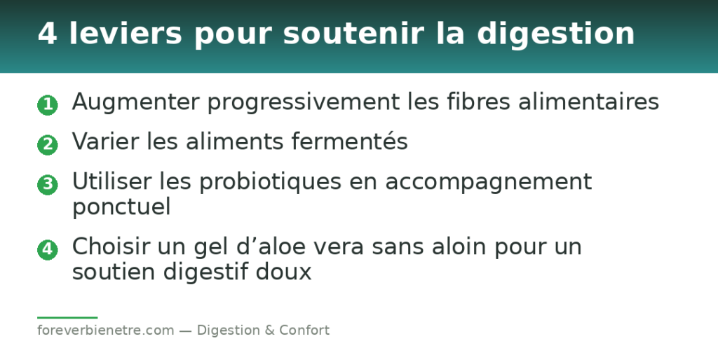 4 leviers pour soutenir la digestion