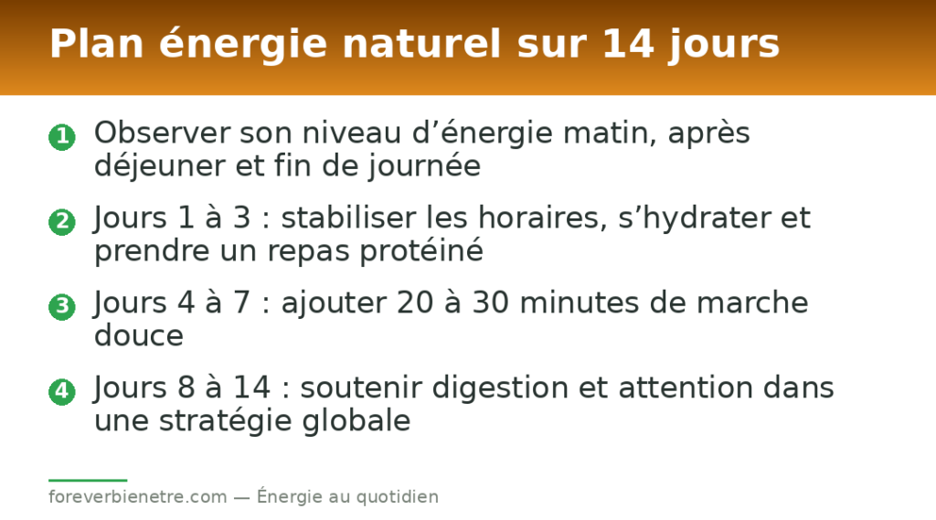 Plan énergie naturel sur 14 jours