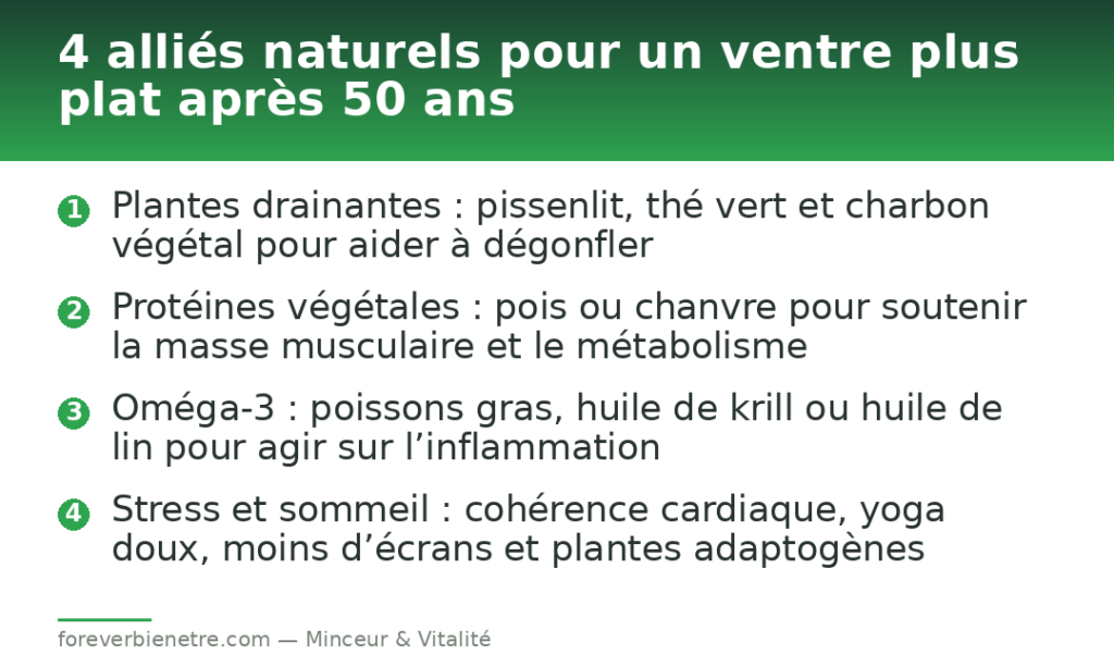 4 alliés naturels pour un ventre plus plat après 50 ans